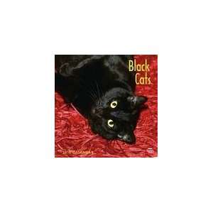  Black Cats 2010 Wall Calendar