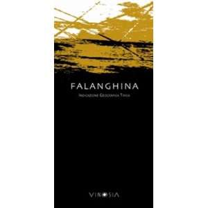  2010 Vinosia Falanghina Igt 750ml: Grocery & Gourmet Food