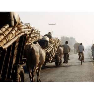  Bullock Carts of Bamboo Scaffolding on Mahendra Highway 