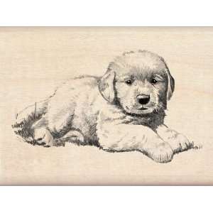  Inkadinkado Little Puppy Wood Stamp Arts, Crafts & Sewing