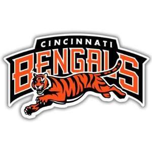  Cincinnati Bengals NFL Football bumper sticker 5 x 3 