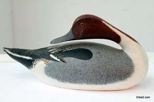   Duck Decoy Very Well Painted Carved by Hand Made out of Wood  