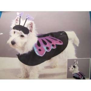  Casual Canine Flutter Pup Butterfly Costume Xsm: Pet 