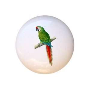  Birds Military Macaw Drawer Pull Knob