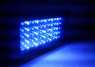   fish light BLUE & WHITE Aquarium Coral Reef Tank LED Grow Light  