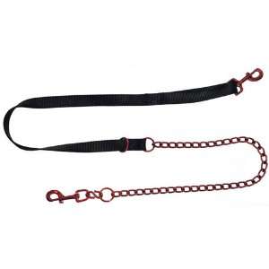   Nylon Dog Leash in Candy Apple Red (Small, 59 ½ Long 3/4 Wide): Pet