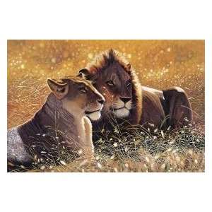  Lions in the Sun 1000 Piece Puzzle Toys & Games