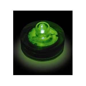  1 Unit Submersible Floralyte, Green: Home & Kitchen