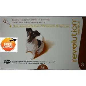 Revolution Dogs Weighing 5.1   10.0kg, 10 20lbs (Brown) 3 Tubes, Exp 