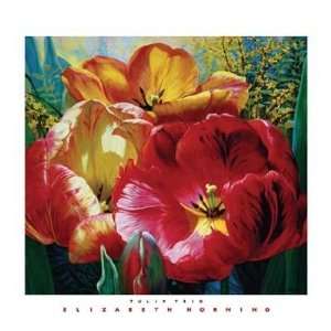  Elizabeth Horning   Tulip Trio