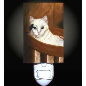    Domestic Cat in Basket Decorative Night Light: Home Improvement