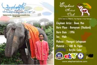 SEA IN THAILAND Original Elephant Artist BEST Painting +DVD SHOW 