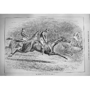   1884 John Osborne Apology Horse Racing St. Leger Sport: Home & Kitchen