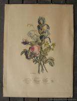 Antique Pair of French Color Floral Engravings Listed JL Prevost 
