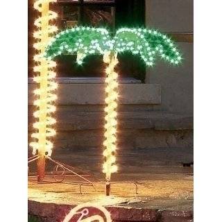  7 Tropical Lighted Holographic Rope Light Palm Tree 