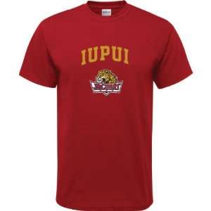 IUPUI Jaguars Cardinal Youth Arch Logo T Shirt:  Sports 