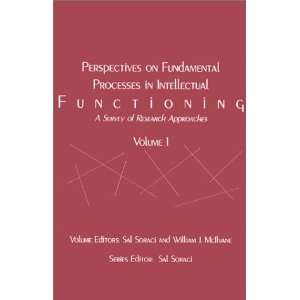 com Perspectives on Fundamental Processes in Intellectual Functioning 
