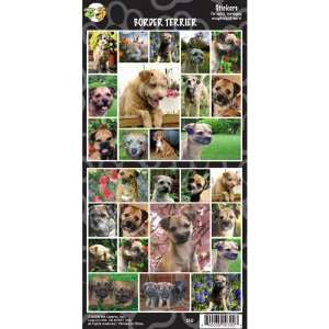  Border Terrier Sticker Sheet: Pet Supplies