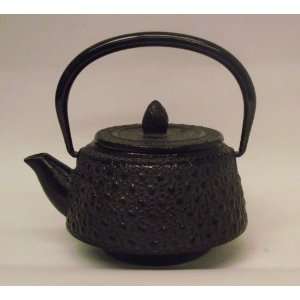    New Black Iron Tea Pot For One Made In Japan