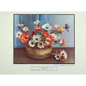 1933 Color Print Flowers Bouquet Vase Orange Pink   Original Print