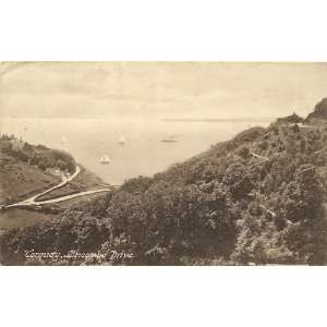   Vintage Postcard Lincombe Drive Torquay England UK 