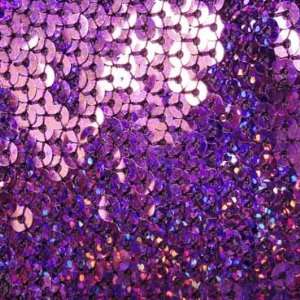  Hologram Stretch Sequins Mesh Fabric Purple: Home 