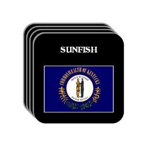 US State Flag   SUNFISH, Kentucky (KY) Set of 4 Mini Mousepad Coasters