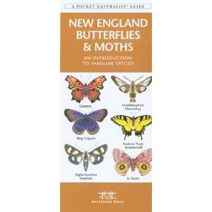   Guide   New England Butterflies & Moths   70 Species 