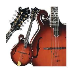    Legacy Dragonfly Flame F Style Mandolin: Musical Instruments