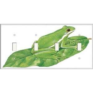  Four Switch Plate   Green Frog: Home Improvement