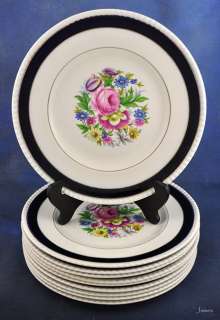 10 Fondeville Ambassador Ware England Floral Porcelain Plates  