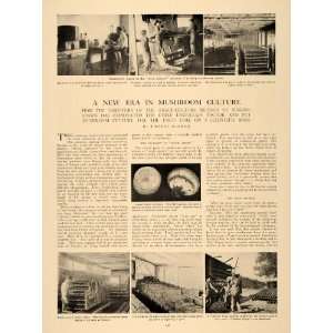  1906 Article Fungi Mold Mushroom Varieties Agriculture Crops Spores 