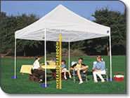 EZUP Enterprise II Pop Up Party Canopy 10X10 New in Box  