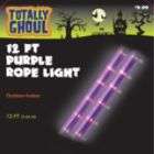 Totally Ghoul 12ft Rope Light