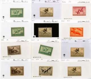 US Stamps Federal Duck Early Stock Catalogue $7,500  