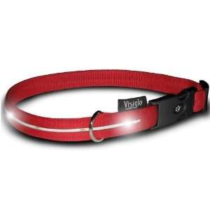   Large Collar Red Nylon 16 26 in. Unit with White Led