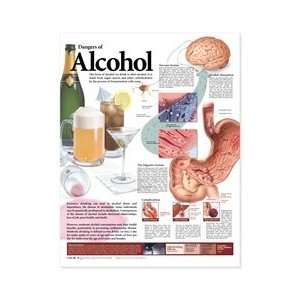 Dangers of Alcohol Anatomical Chart, Second Edition  