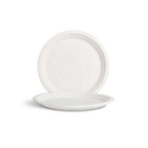  Foods ON eco friendly 9 picnic plates set of 24 Patio 
