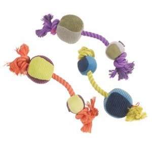  PURINA Engage Me Dog Toy Fun on a Rope: Pet Supplies