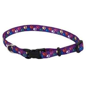  Collar 3/8 X   small Spw (Catalog Category: Dog / Collars Leads
