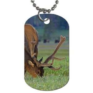  Deer scenic photo Dog Tag with 30 chain necklace Great 
