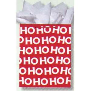  Hallmark Christmas XGB3996 Ho Ho Ho Small Gift Bag with 