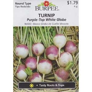   Purple Top White Globe Turnip Seeds   4 grams Patio, Lawn & Garden