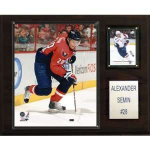  NHL Alexander Semin Washington Capitals Player Plaque 