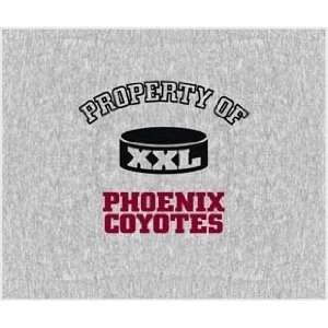 Property Of NHL Hockey Blanket/Throw Phoenix Coyotes   Fan Shop Sports 
