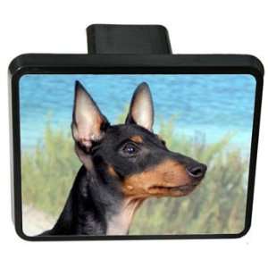 Manchester Terrier Trailer Hitch Cover