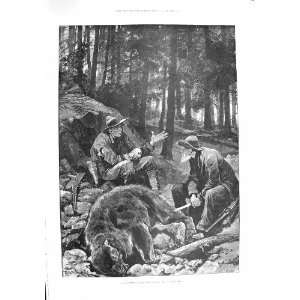  1895 BEAR HUNTING MONTANA HUNTERS SPORT WOODVILLE PRINT 