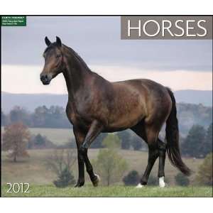  Horses 2012 Deluxe Wall Calendar
