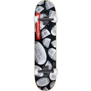  Expedition Welsh Therapy Complete Skateboard   8.25 w 