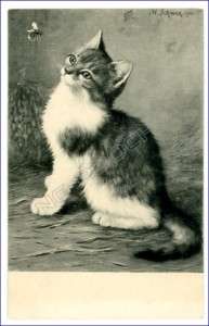 Schwar vintage postcard adorable cat watches bee flying  